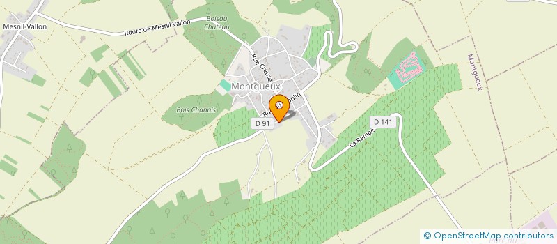 localisation de l'entreprise DRIVE RACE SIMULATEUR 10  MONTGUEUX