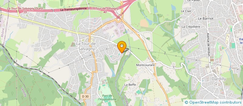 localisation de l'entreprise DRIVE&SMILE  LA TOUR-DE-SALVAGNY