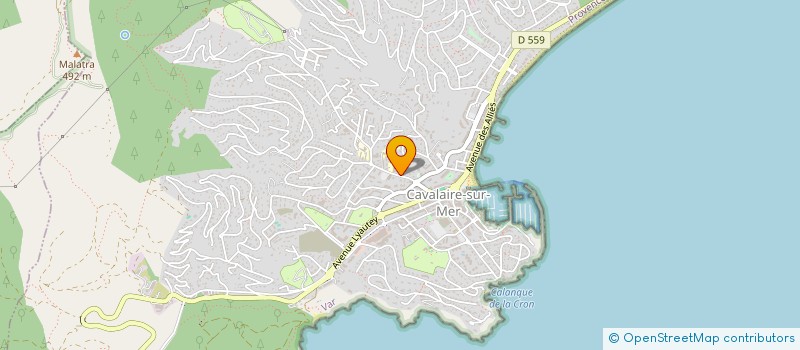 localisation de l'entreprise DRIVER LIMOUSINE à CAVALAIRE-SUR-MER