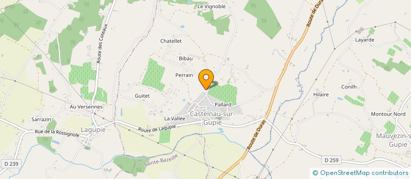 localisation de l'entreprise DRIVING PERFORMANCE  CASTELNAU-SUR-GUPIE