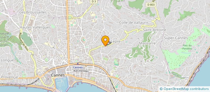 localisation de l'entreprise DRIVUSO  CANNES