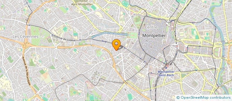 localisation de l'entreprise DROLE DE FIGUE  MONTPELLIER