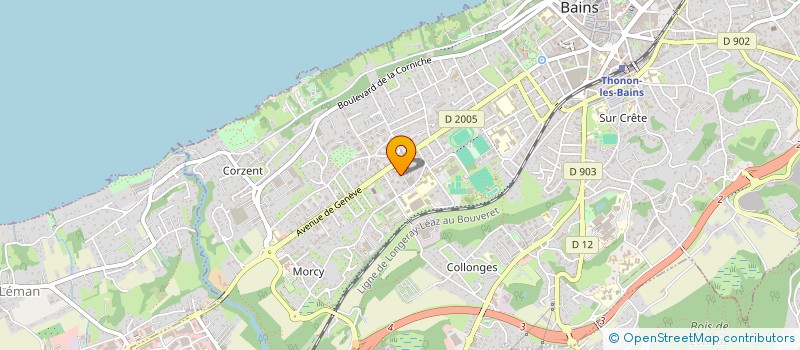 localisation de l'entreprise DROLES DE GONES à THONON-LES-BAINS