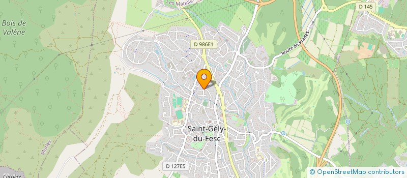 localisation de l'entreprise DRONAUTIQUE SERVICES  SAINT-GELY-DU-FESC