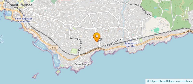 localisation de l'entreprise DRONES SERVICES FRANCE à SAINT-RAPHAEL
