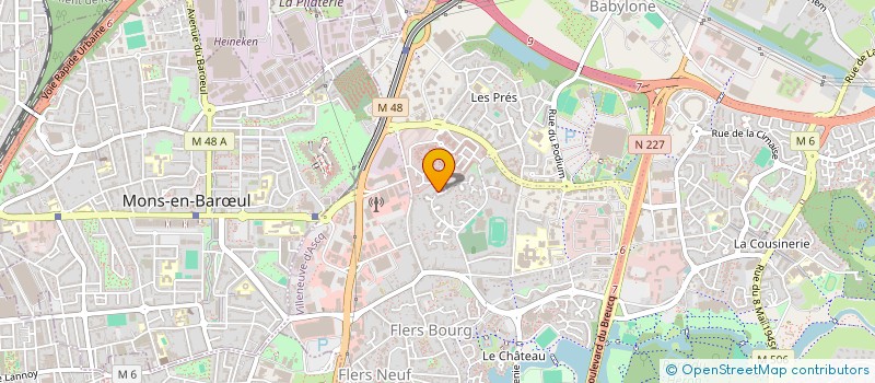 localisation de l'entreprise DRUZHINA HANSA  VILLENEUVE-D'ASCQ