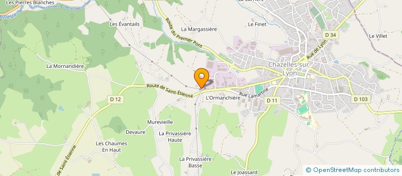 localisation de l'entreprise DRYM  CHAZELLES-SUR-LYON