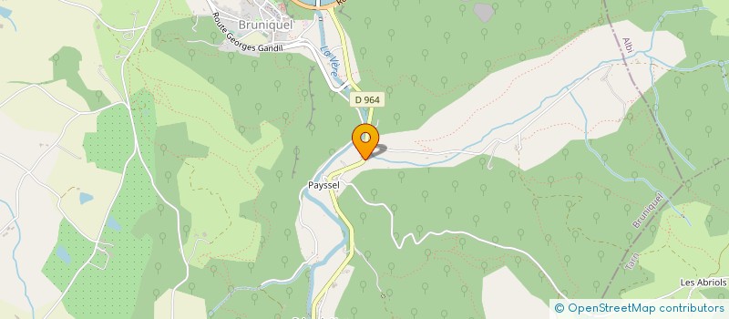 localisation de l'entreprise DS COMPUTING  BRUNIQUEL