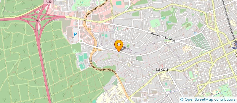 localisation de l'entreprise DS CONSEILS ET EXPERTISE à LAXOU