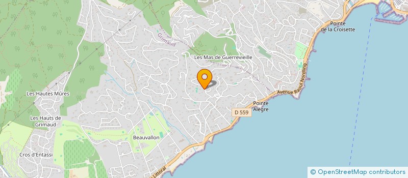 localisation de l'entreprise DS CONSULTING à GRIMAUD