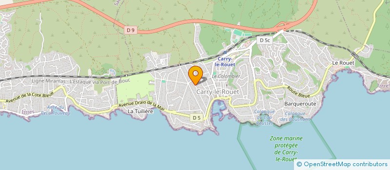 localisation de l'entreprise DS IMMO  CARRY-LE-ROUET