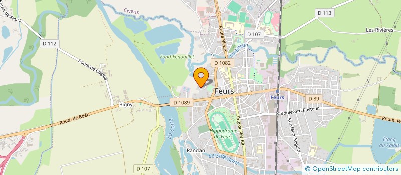 localisation de l'entreprise DS IMMOBILIER  FEURS