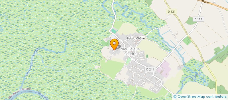 localisation de l'entreprise DS INVEST  NIEULLE-SUR-SEUDRE