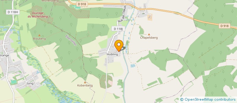 localisation de l'entreprise DS MENUISERIE SASU  CHATEAU-ROUGE