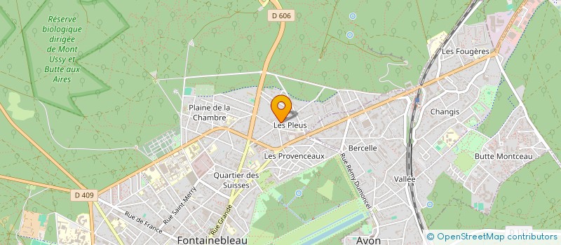 localisation de l'entreprise DS PACO  FONTAINEBLEAU