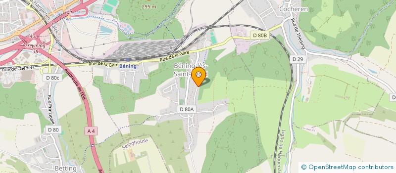 localisation de l'entreprise DS PEINTURE EST  BENING-LES-SAINT-AVOLD