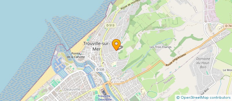 localisation de l'entreprise DSA CONSEILS  TROUVILLE-SUR-MER