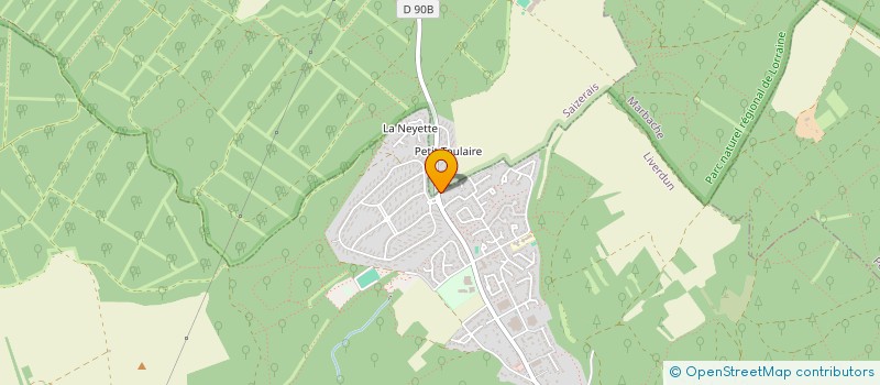 localisation de l'entreprise DSBM à LIVERDUN
