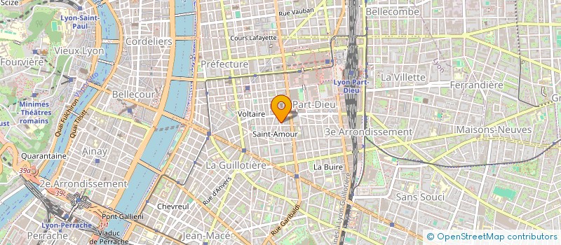 localisation de l'entreprise DSD PARTNERS  LYON