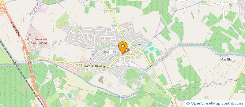 localisation de l'entreprise DSG à SALEILLES