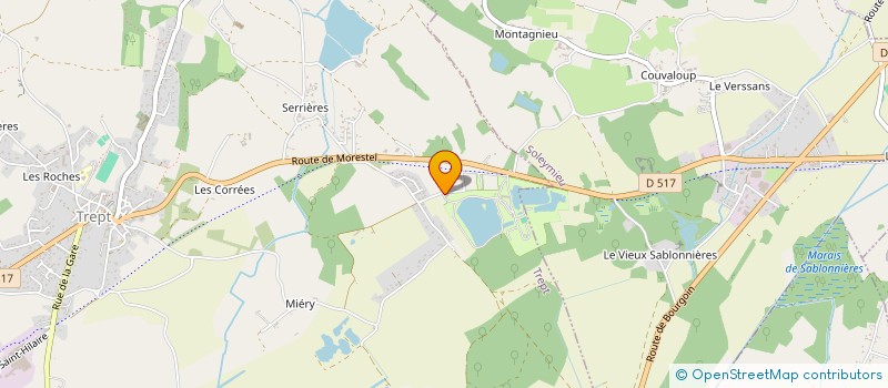 localisation de l'entreprise DSG  TREPT