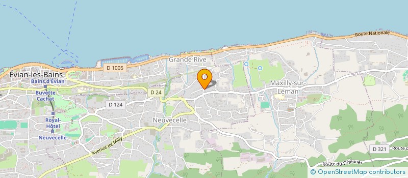 localisation de l'entreprise DSI-LEMAN  NEUVECELLE