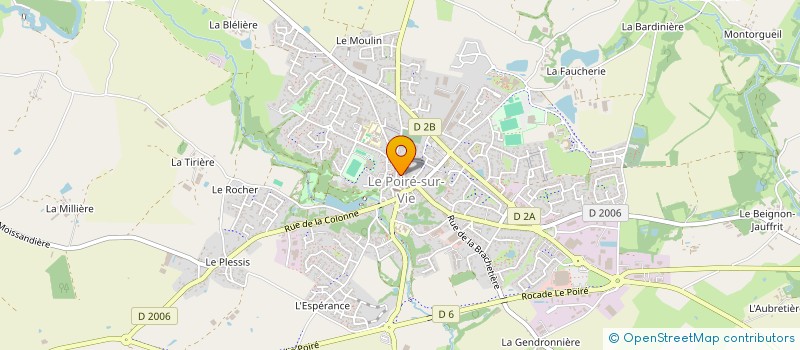 localisation de l'entreprise DSI85  LE POIRE-SUR-VIE