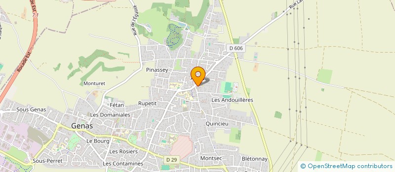 localisation de l'entreprise DSLF  GENAS