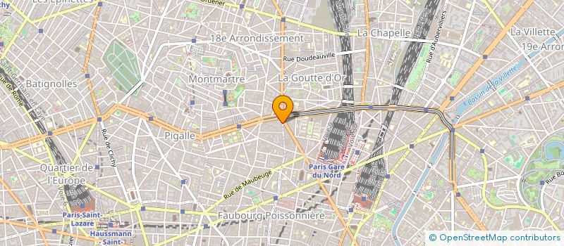 localisation de l'entreprise DSM  PARIS