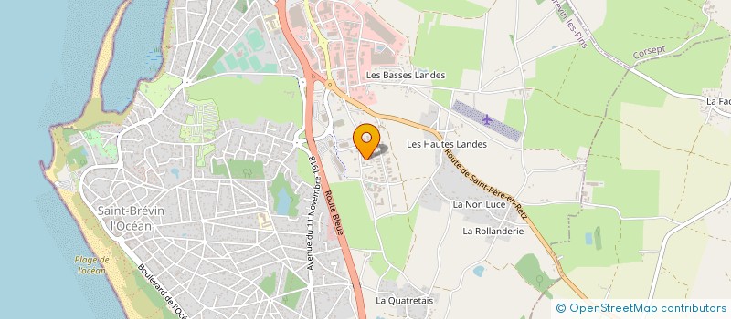 localisation de l'entreprise DSM à SAINT-PERE-EN-RETZ