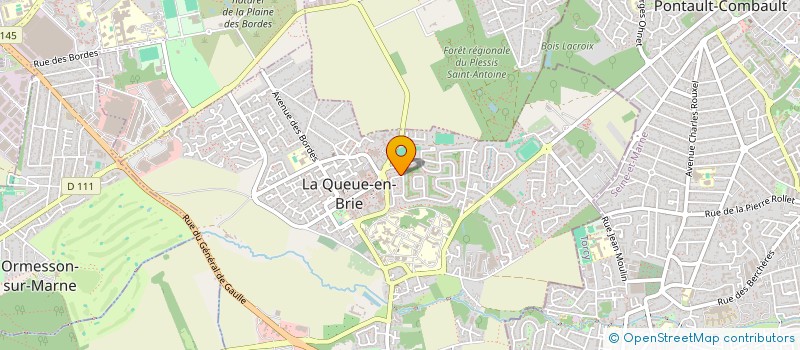 localisation de l'entreprise DSM  LA QUEUE-EN-BRIE