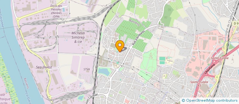 localisation de l'entreprise DSM ASSOCIATION LT  BASSENS