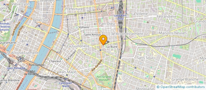 localisation de l'entreprise DSM EMBALLAGE à LYON