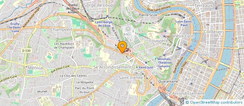 localisation de l'entreprise DSM ET JCB à LYON