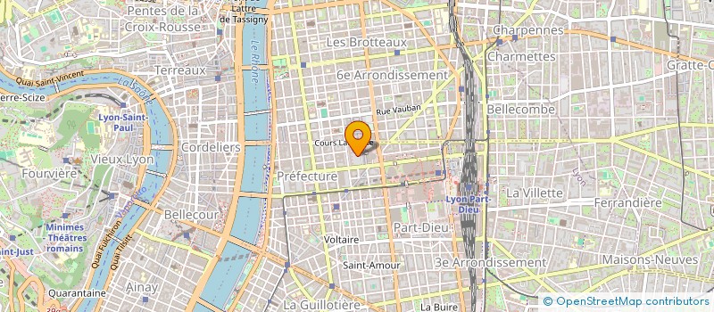 localisation de l'entreprise DSNUM  LYON