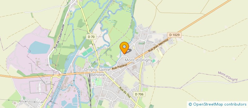 localisation de l'entreprise DSO FRANCE  MONT-D'ORIGNY