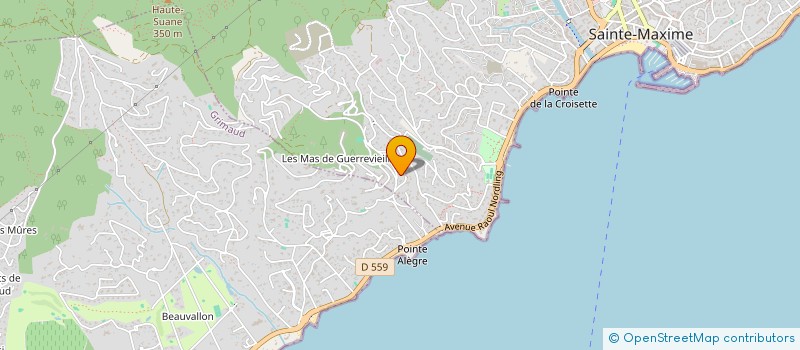 localisation de l'entreprise DSW HOLDING à SAINTE-MAXIME