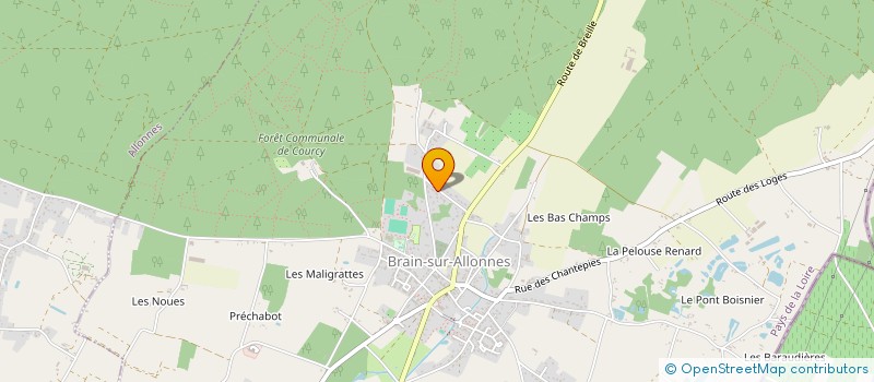 localisation de l'entreprise DSWEST  BRAIN-SUR-ALLONNES