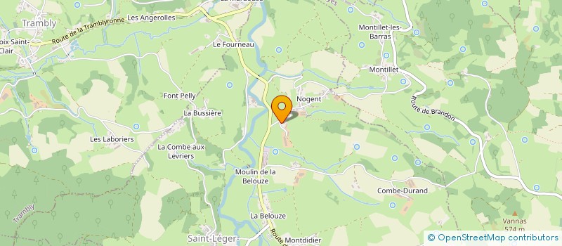 localisation de l'entreprise DU BORD DE GROSNE  SAINT-LEGER-SOUS-LA-BUSSIERE