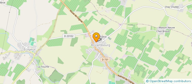 localisation de l'entreprise DU CHAMP DE FOIRE  BRIZAMBOURG