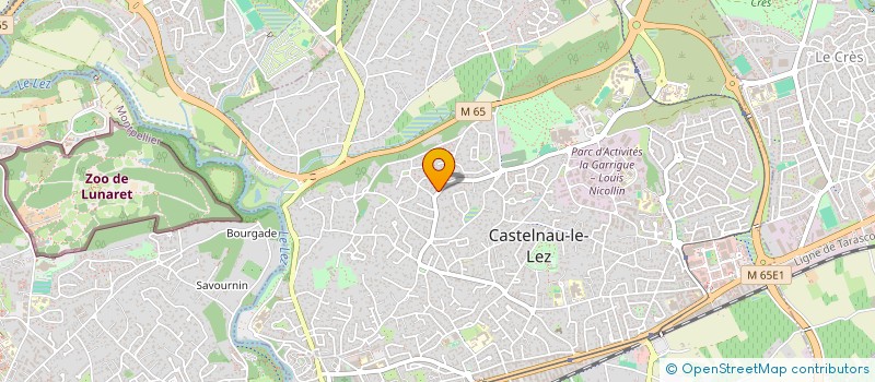 localisation de l'entreprise DU CIEL DANS LES EPINARDS à CASTELNAU-LE-LEZ