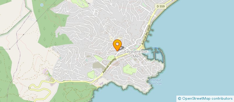 localisation de l'entreprise DU COEUR DANS LES EPINARDS à CAVALAIRE-SUR-MER
