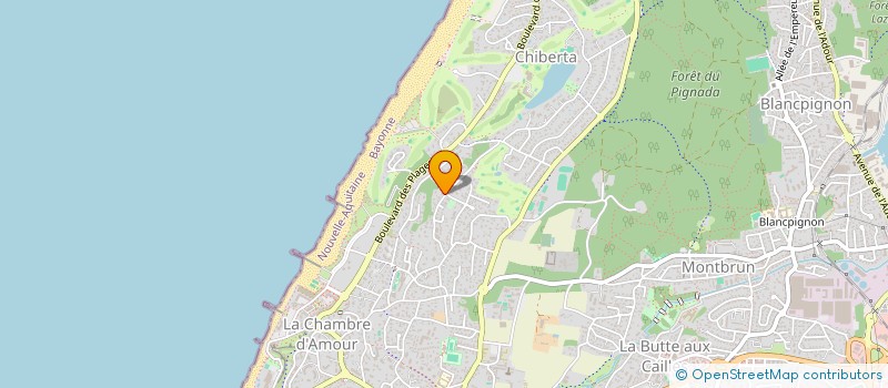 localisation de l'entreprise DU DIX SEPT RUE LORMAND  ANGLET