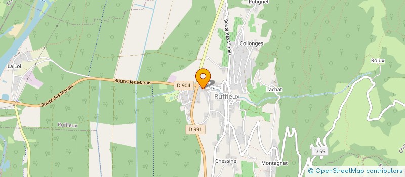 localisation de l'entreprise DU DOMAINE DE L'ARBESSIEUX  RUFFIEUX