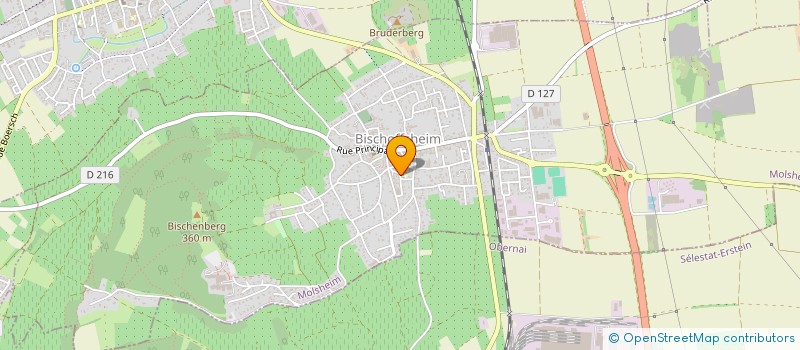 localisation de l'entreprise DU GRES JAUNE  BISCHOFFSHEIM