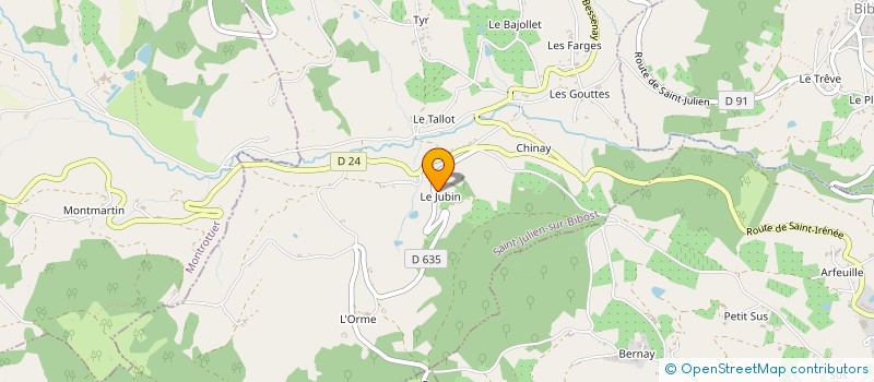 localisation de l'entreprise DU JUBIN à SAINT-JULIEN-SUR-BIBOST