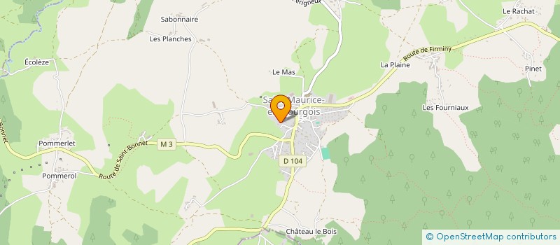 localisation de l'entreprise DU LAVOIR  SAINT-MAURICE-EN-GOURGOIS