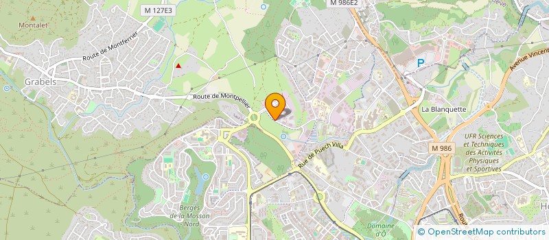 localisation de l'entreprise DU LION  GRABELS