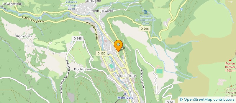 localisation de l'entreprise DU MOULIN  MONT-DORE