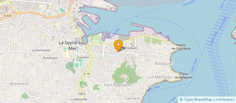 localisation de l'entreprise DU PIED A LA TETE à LA SEYNE-SUR-MER